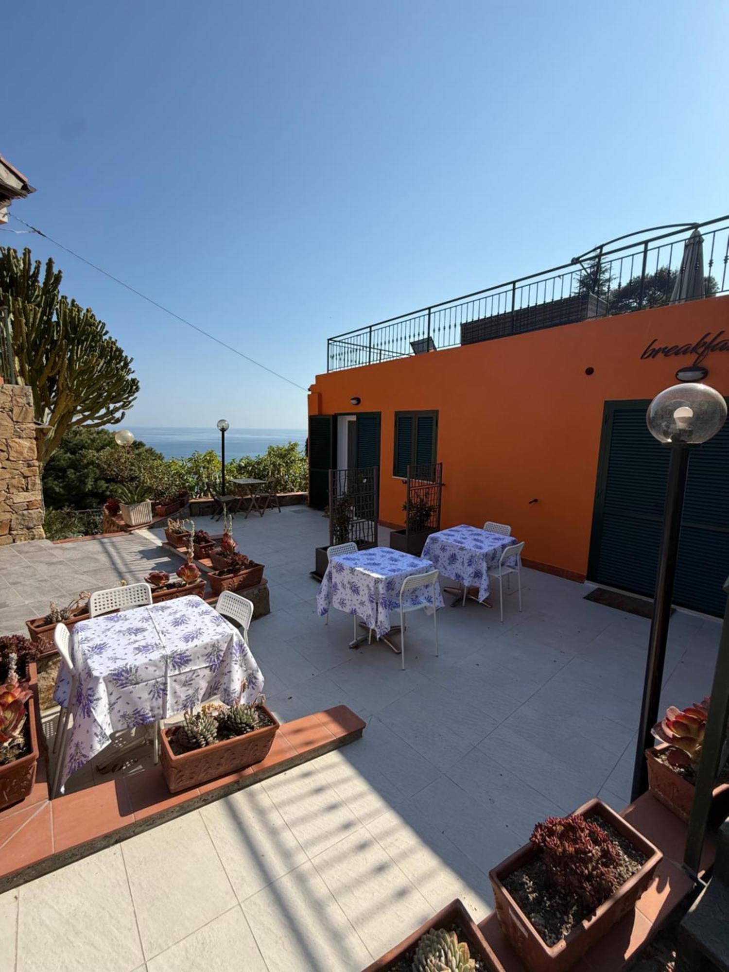 Agriturismo Un Mare Di Fiori ヴェンティミーリア エクステリア 写真