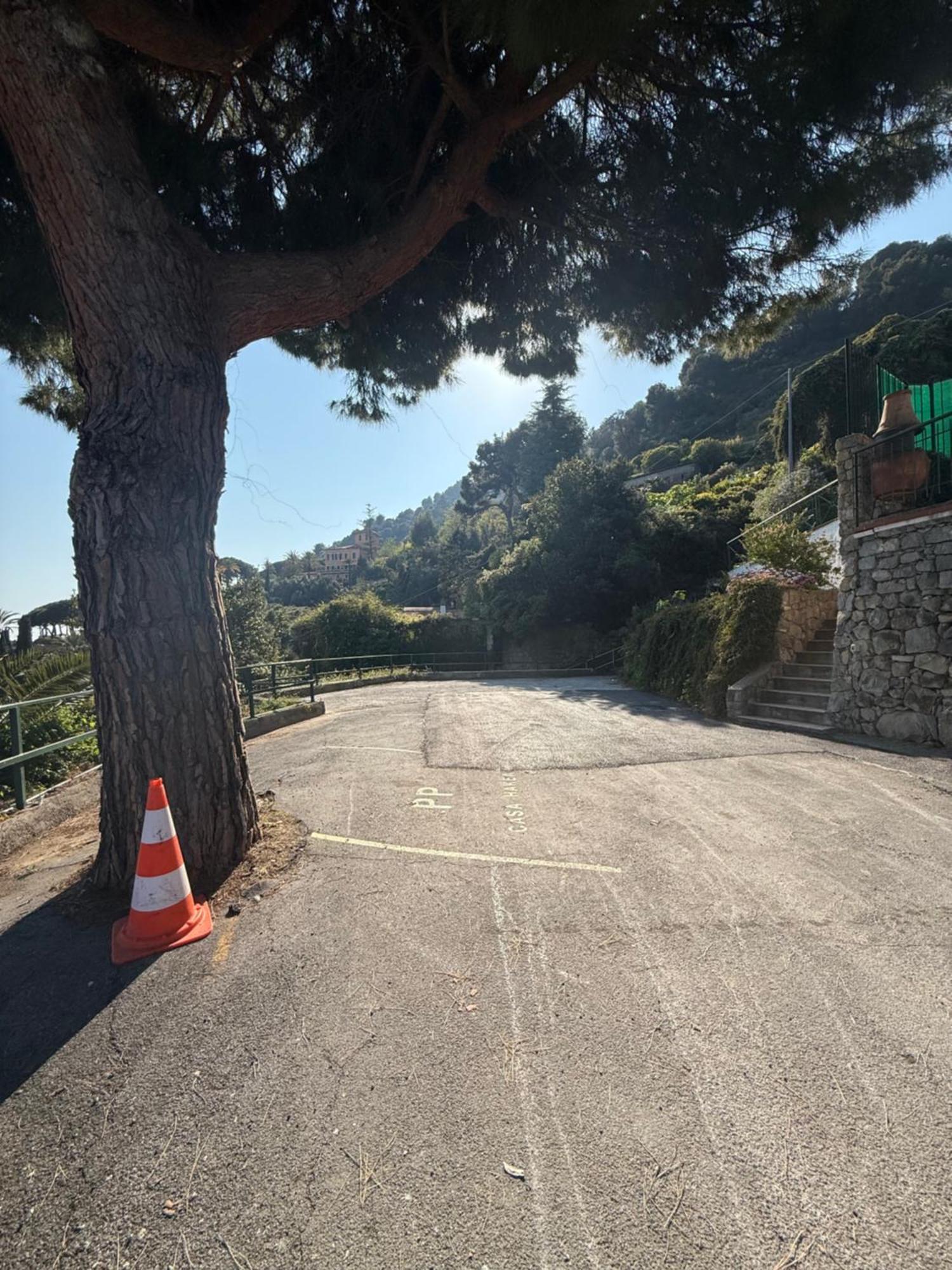 Agriturismo Un Mare Di Fiori ヴェンティミーリア エクステリア 写真