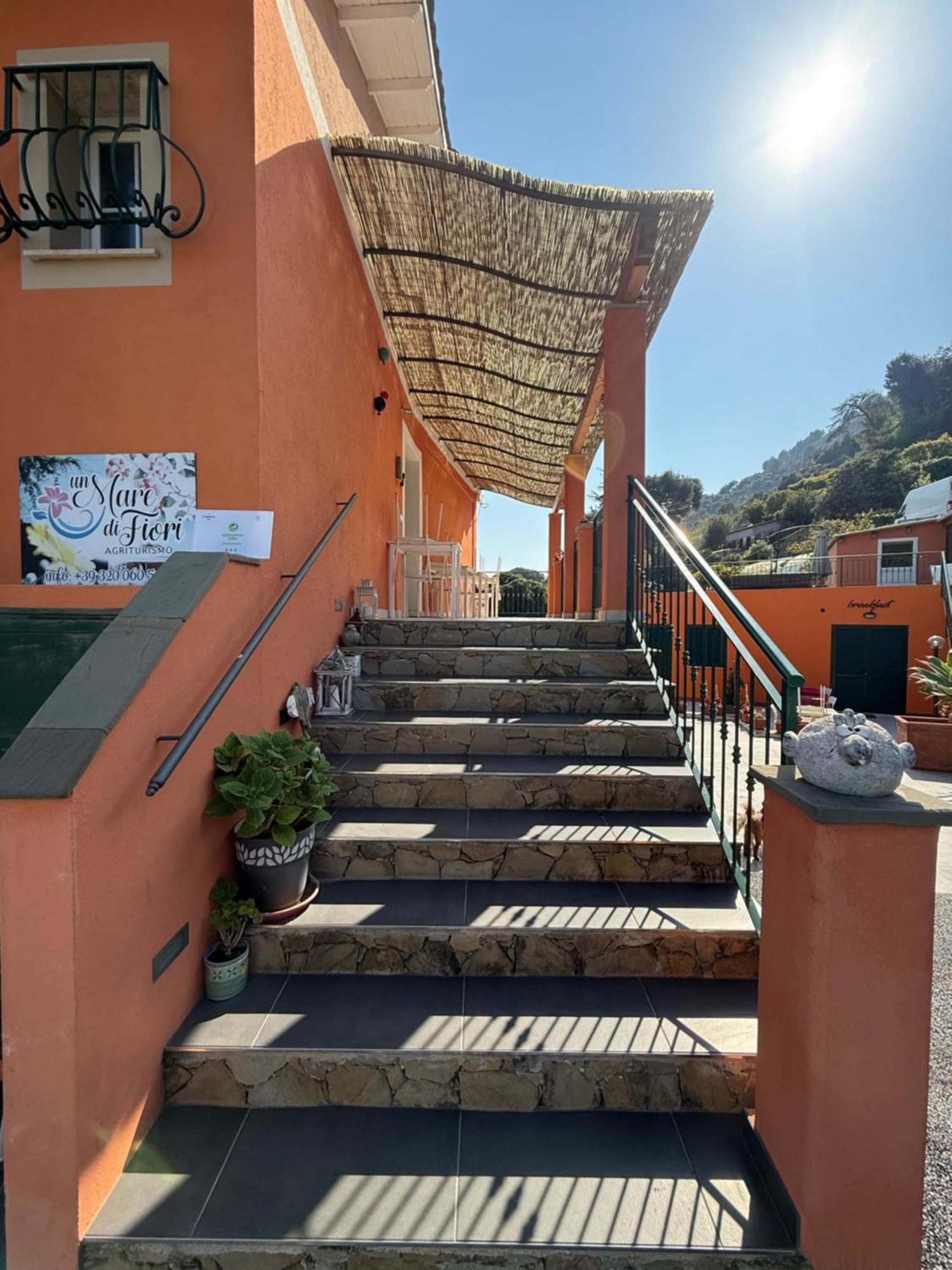Agriturismo Un Mare Di Fiori ヴェンティミーリア エクステリア 写真