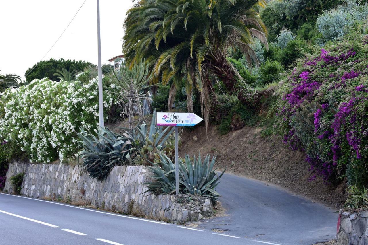 Agriturismo Un Mare Di Fiori ヴェンティミーリア エクステリア 写真